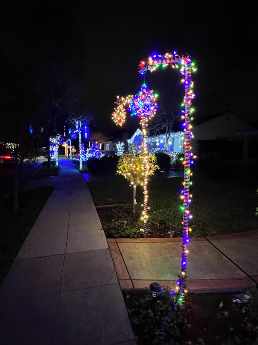 Willow Glen Holiday Lights Pawrent Adventures
